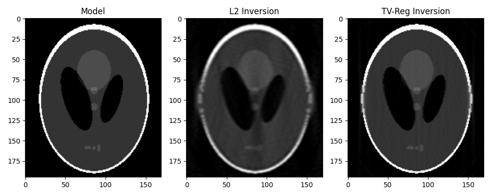 Model, L2 Inversion, TV-Reg Inversion