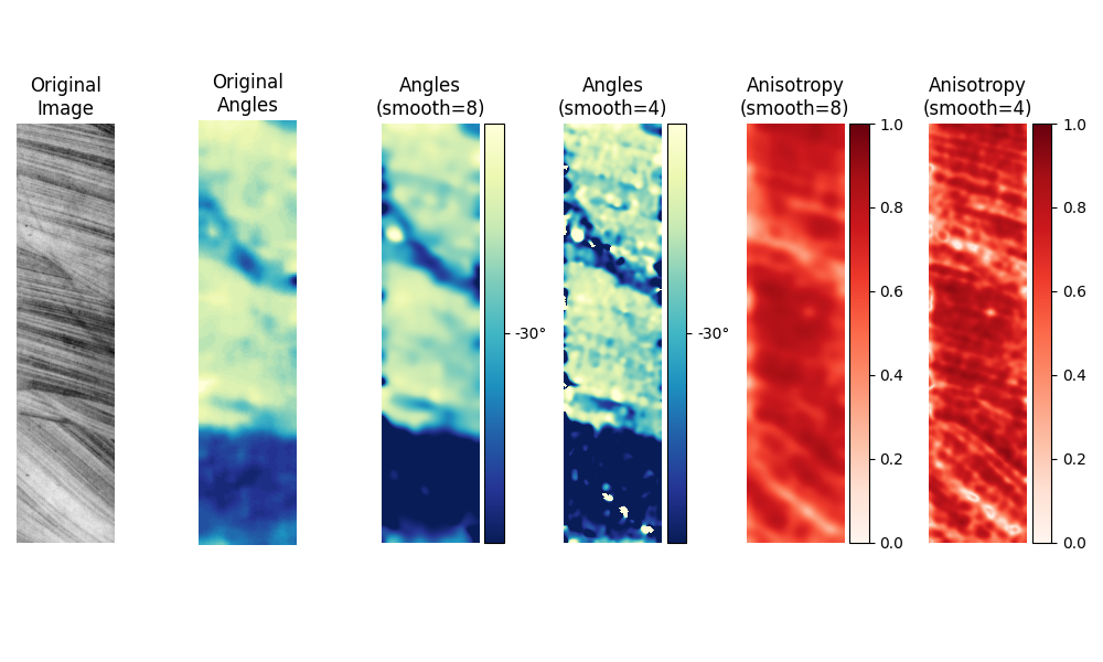 Original Image, Original Angles, Angles (smooth=8), Angles (smooth=4), Anisotropy (smooth=8), Anisotropy (smooth=4)